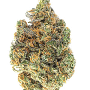 10 PACK PRE-ROLLS - MALEFI-SCENT